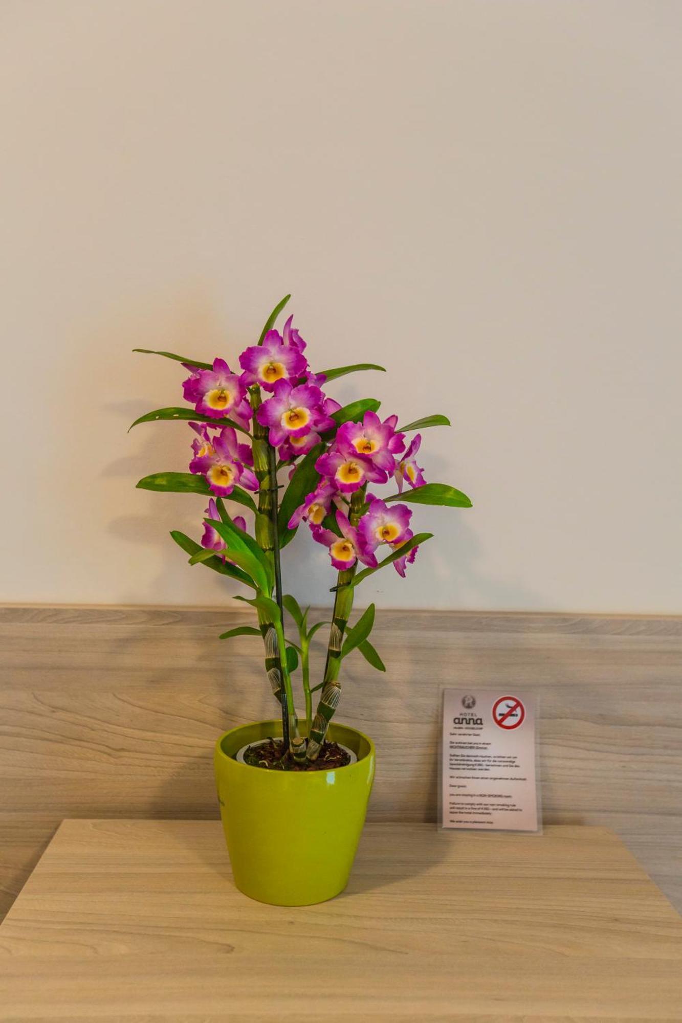 Hotel Anna Hilden Pokoj fotografie
